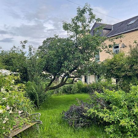 Ynyswen Bed & Breakfast Nantgaredig Zewnętrze zdjęcie