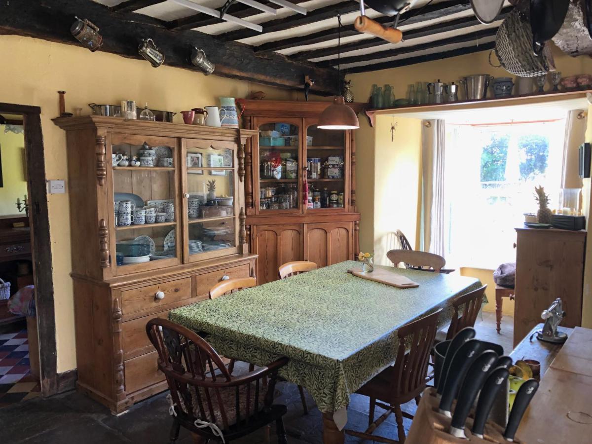 Ynyswen Bed & Breakfast Nantgaredig Zewnętrze zdjęcie