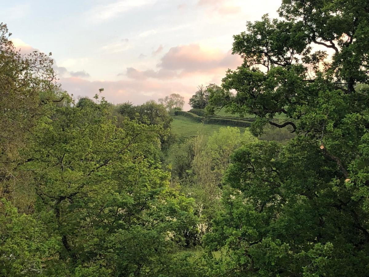 Ynyswen Bed & Breakfast Nantgaredig Zewnętrze zdjęcie
