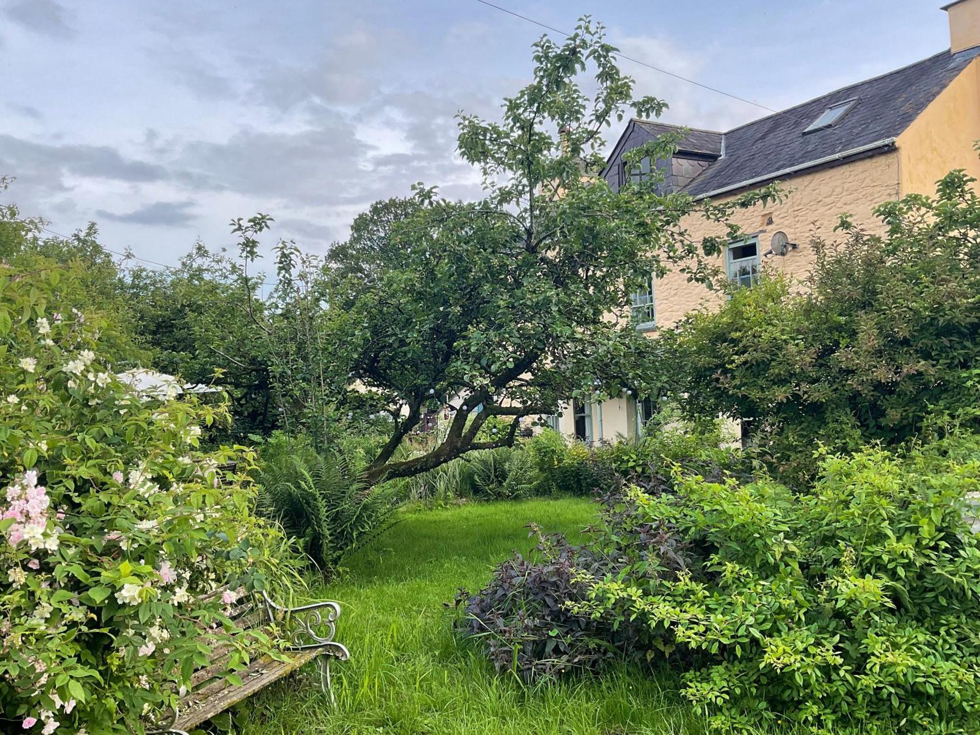 Ynyswen Bed & Breakfast Nantgaredig Zewnętrze zdjęcie