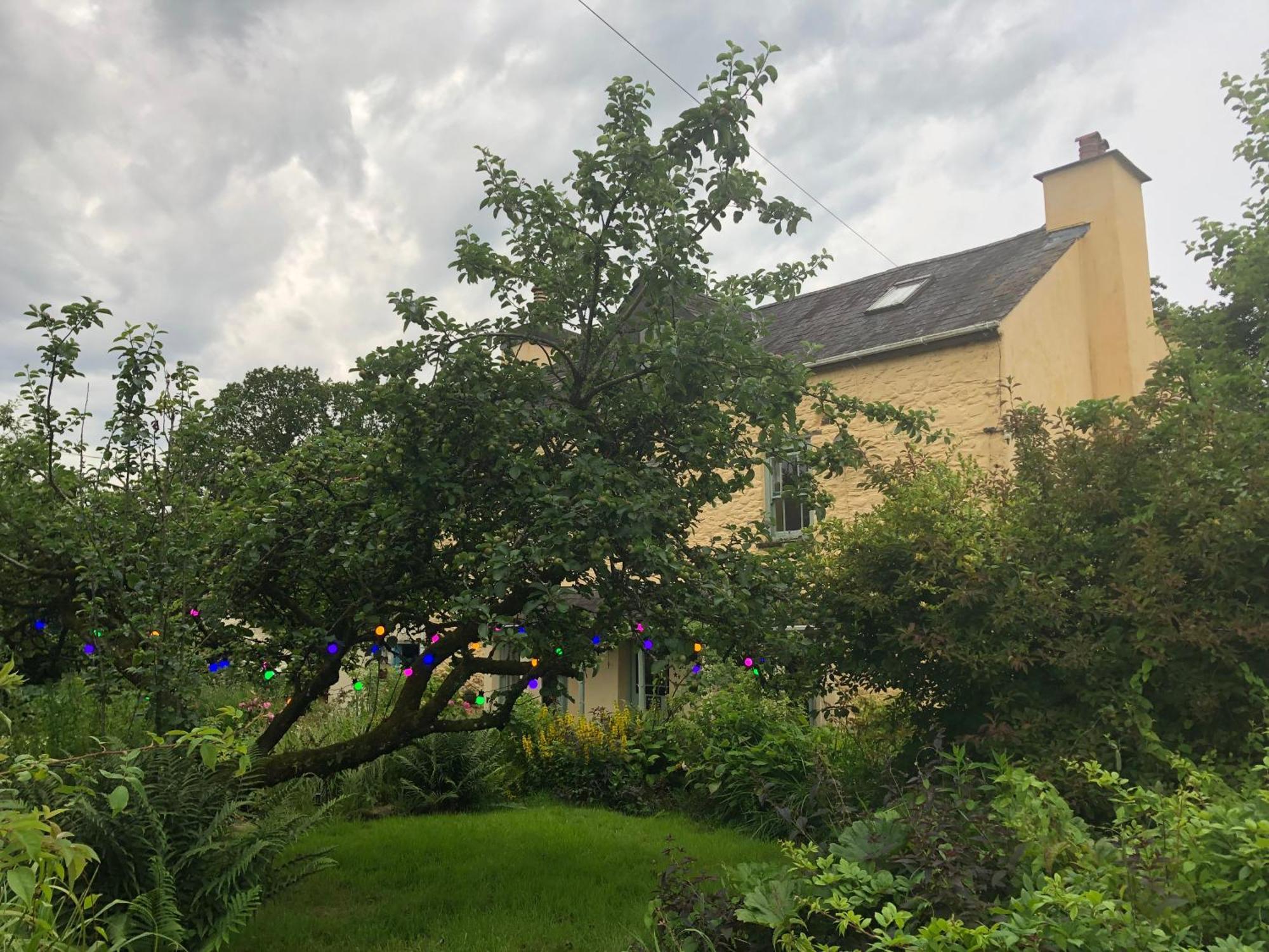 Ynyswen Bed & Breakfast Nantgaredig Zewnętrze zdjęcie